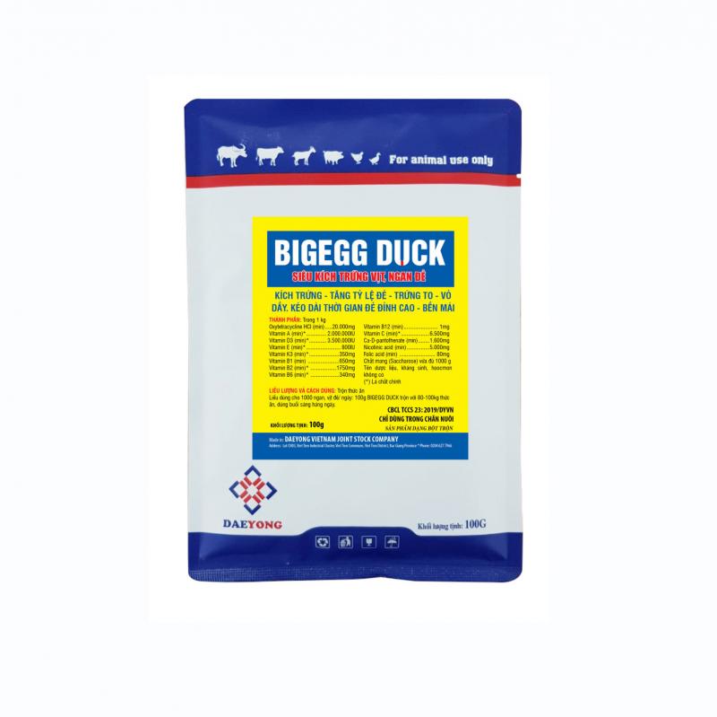 BIGEGG DUCK